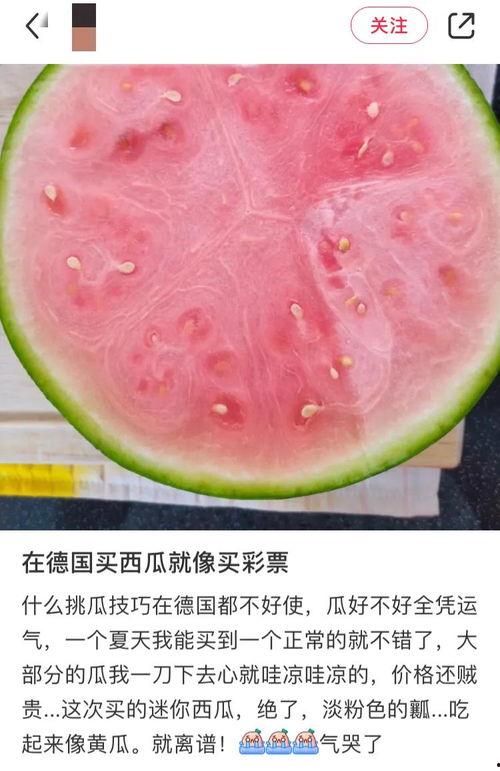 吃瓜网国外,国外视角下的中国网络文化现象