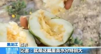 吃瓜网用什么应用打开,吃瓜网热门内容，看这一款应用轻松打开